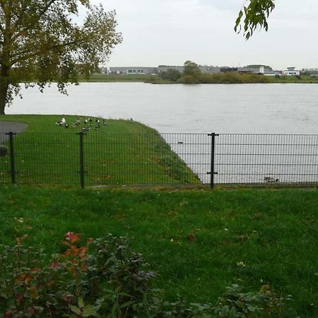 De Zilveren Karper IJsselmuiden Zewnętrze zdjęcie